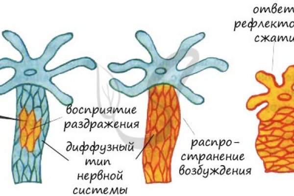 Что такое код аккаунта на блэкспруте