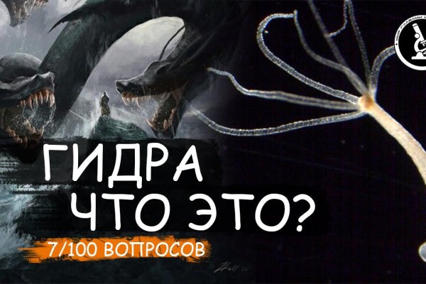 Блэк спрут зеркало bs2web top